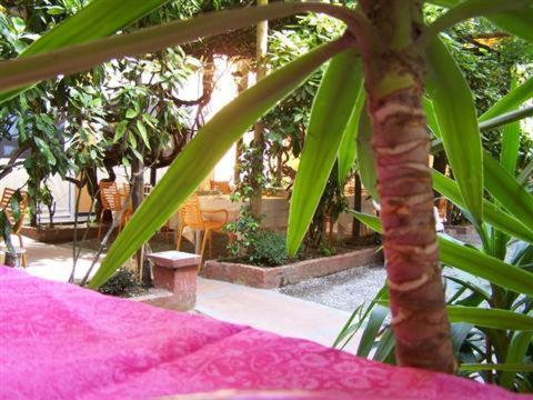 Albergo Lavagnese ลาวาญา ภายนอก รูปภาพ